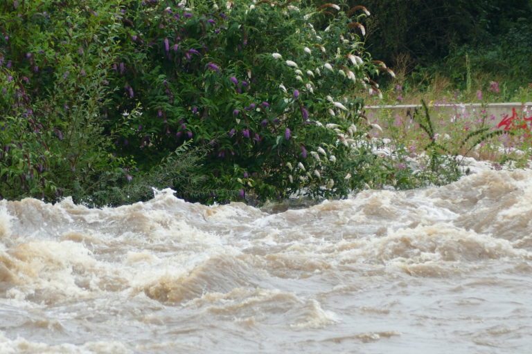 Antrag Hochwasser-Check